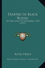 Trapped in Black Russia: Letters, June to November, 1915 (1917)