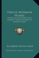 Twelve Mormon Homes: Visited in Succession on a Journey Through Utah to Arizona (1874)