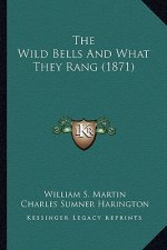 The Wild Bells and What They Rang (1871)