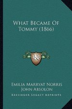 What Became of Tommy (1866)