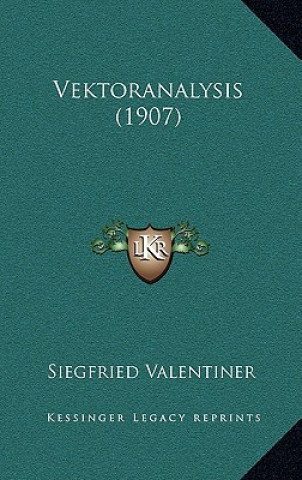 Vektoranalysis (1907)