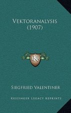Vektoranalysis (1907)