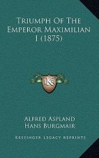 Triumph Of The Emperor Maximilian I (1875)