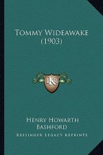 Tommy Wideawake (1903)