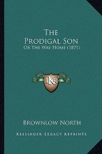 The Prodigal Son: Or The Way Home (1871)