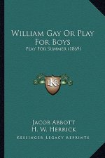 William Gay or Play for Boys: Play for Summer (1869)