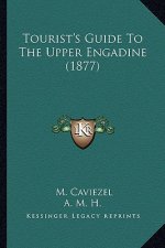 Tourist's Guide To The Upper Engadine (1877)