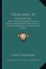 Trenching at Gallipoli: The Personal Narrative of a Newfoundlander with the Ill-Fated Dardanelles Expedition (1917)