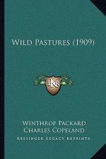 Wild Pastures (1909)