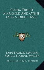 Young Prince Marigold And Other Fairy Stories (1873)