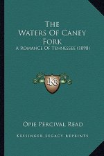 The Waters of Caney Fork: A Romance of Tennessee (1898)