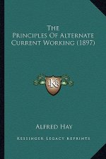 The Principles of Alternate Current Working (1897)