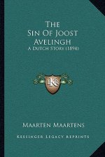 The Sin Of Joost Avelingh: A Dutch Story (1894)