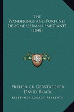 The Wanderings and Fortunes of Some German Emigrants (1848)