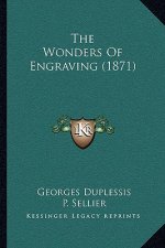The Wonders of Engraving (1871)