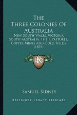 The Three Colonies of Australia: New South Wales, Victoria, South Australia, Their Pastures, Copper Mines and Gold Fields (1859)