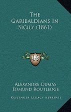 The Garibaldians in Sicily (1861)