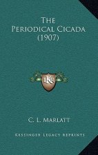 The Periodical Cicada (1907)