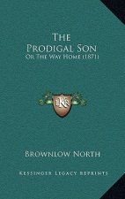 The Prodigal Son: Or The Way Home (1871)