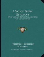 A Voice From Germany: Why German Peace Declarations Fail To Convince: Austria's Peace Proposals, The Letter To Prince Sixtus (1918)