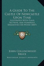 A Guide To The Castle Of Newcastle Upon Tyne: Illustrated With Plans, Sections, And Numerous Engravings On Wood (1847)