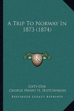 A Trip To Norway In 1873 (1874)