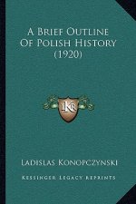A Brief Outline Of Polish History (1920)