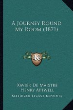 A Journey Round My Room (1871)