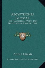 Aegyptisches Glossar: Die Haufigeren Worte Der Aegyptischen Sprache (1904)