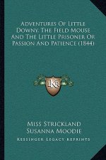 Adventures Of Little Downy, The Field Mouse And The Little Prisoner Or Passion And Patience (1844)