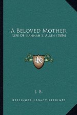 A Beloved Mother: Life Of Hannah S. Allen (1884)