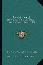 Amos Fayle: Or Through The Wilderness Into A Wealthy Place (1878)