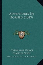 Adventures In Borneo (1849)