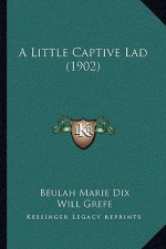 A Little Captive Lad (1902)