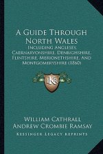 A Guide Through North Wales: Including Anglesey, Caernarvonshire, Denbighshire, Flintshire, Merionethshire, And Montgomeryshire (1860)