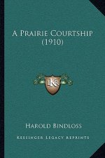 A Prairie Courtship (1910)