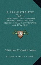 A Transatlantic Tour: Comprising Travels In Great Britain, France, Holland, Belgium, Germany, Switzerland, And Italy (1845)