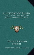 A History Of Russia: From The Birth Of Peter The Great To Nicholas II (1902)