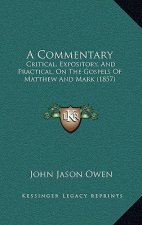 A Commentary: Critical, Expository, And Practical, On The Gospels Of Matthew And Mark (1857)
