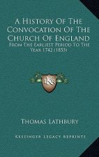 A History Of The Convocation Of The Church Of England: From The Earliest Period To The Year 1742 (1853)