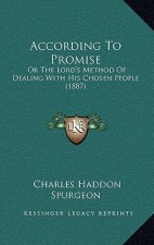According To Promise: Or The Lord's Method Of Dealing With His Chosen People (1887)