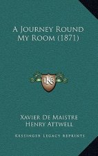 A Journey Round My Room (1871)