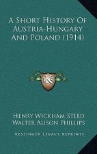 A Short History Of Austria-Hungary And Poland (1914)