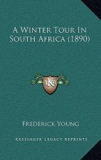 A Winter Tour In South Africa (1890)