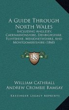 A Guide Through North Wales: Including Anglesey, Caernarvonshire, Denbighshire, Flintshire, Merionethshire, And Montgomeryshire (1860)