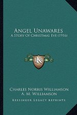 Angel Unawares: A Story Of Christmas Eve (1916)