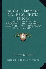 Are You A Bromide? Or The Sulphitic Theory: Expounded And Exemplified According To The Most Recent Researches Into The Psychology Of Boredom (1906)
