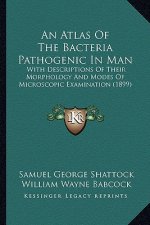 An Atlas Of The Bacteria Pathogenic In Man: With Descriptions Of Their Morphology And Modes Of Microscopic Examination (1899)