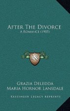 After The Divorce: A Romance (1905)