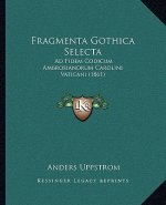 Fragmenta Gothica Selecta: Ad Fidem Codicum Ambrosianorum Carolini Vaticani (1861)